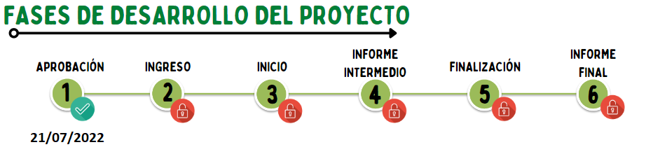Nic.08fase1