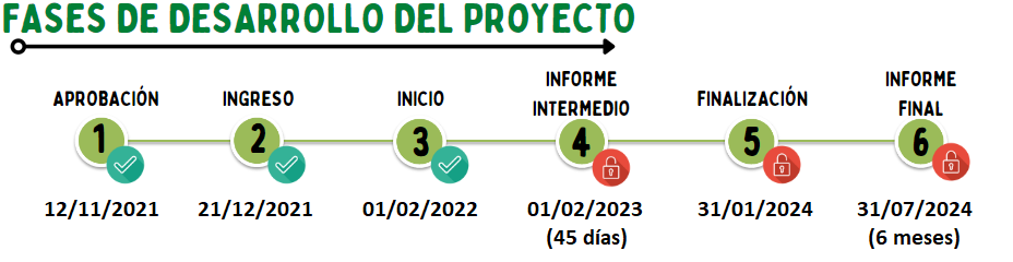 fase_4Peru.10