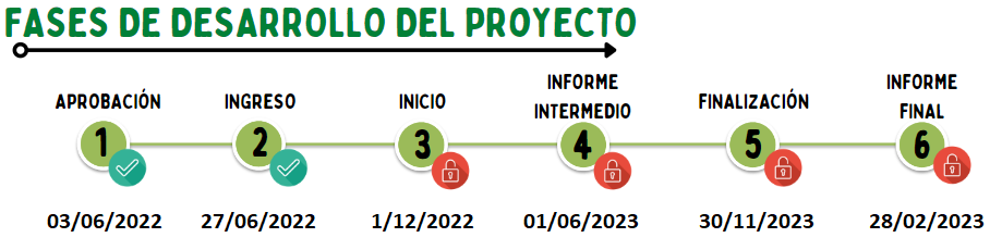 fase_5 per.11