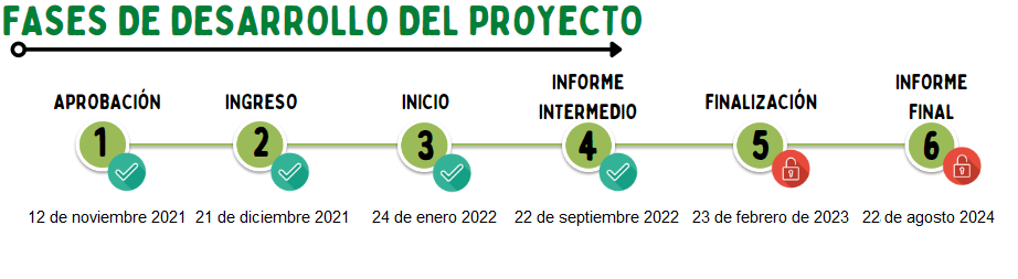 fase3
