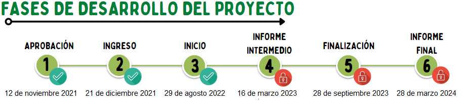 fase_4