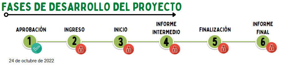 fase_6