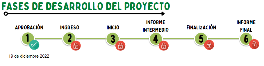 fase_6