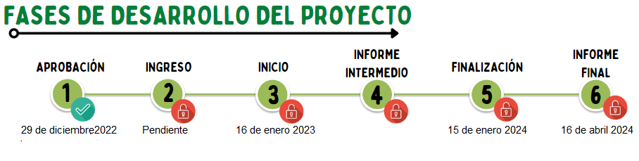 fase_6