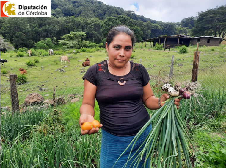 Producción en huertos familiares, alimentación sana y fresca